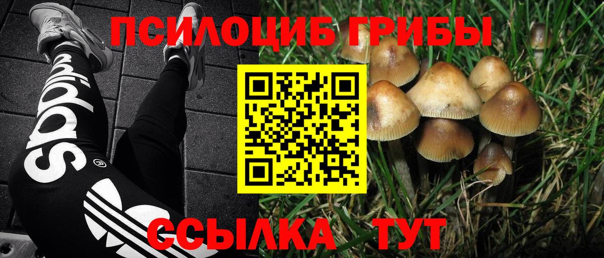 Краснодар  Галлюциногенные грибы Magic Shrooms  Вход с VPN 