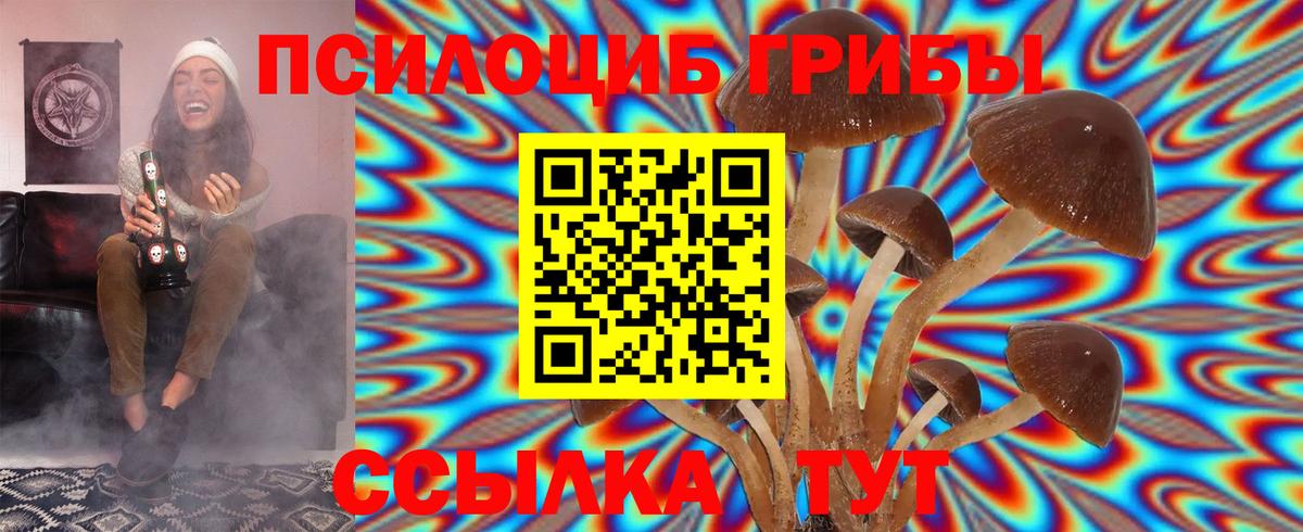Псилоцибиновые грибы мухоморы Краснодар